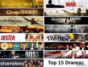 2012年15部最佳剧情剧